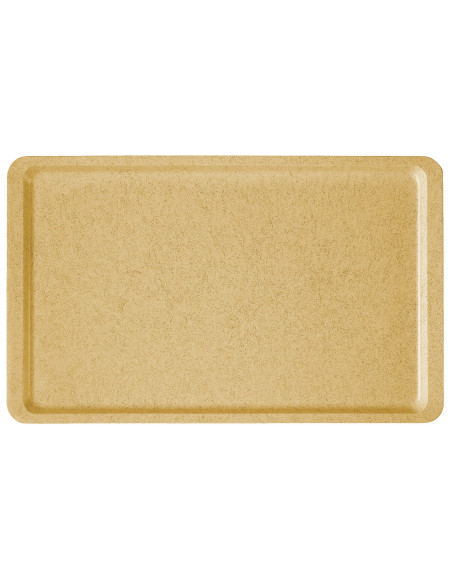 CAMBRO - GP4002 - Bandeja rectangular de SMC de alto rendimiento para uso específico - borde plano - 32,5 x 53 cm
