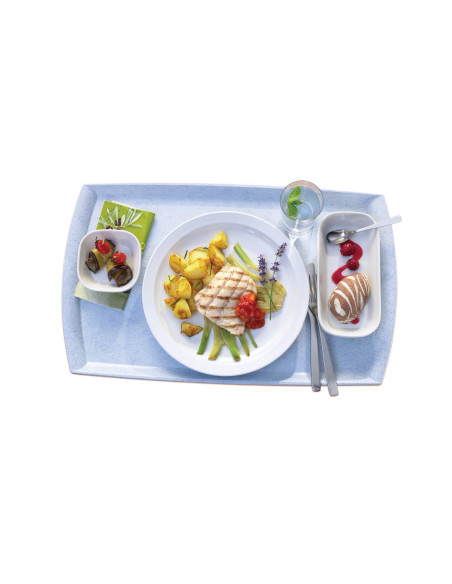 CAMBRO - GP4004 - Bandeja rectangular de SMC de alto rendimiento para uso específico con superficie texturizada - borde