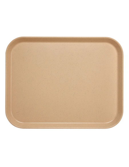 CAMBRO - VL1014 - Bandeja de SMC superficie lisa - perfil alto 27 x 35 cm