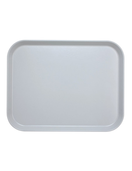CAMBRO - VL1014 - Bandeja de SMC superficie lisa - perfil alto 27 x 35 cm