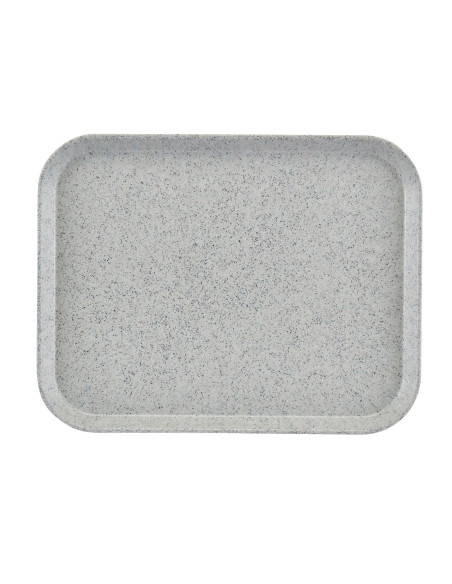 CAMBRO - VT1216 - Bandeja rectangular de SMC de alto rendimiento para uso específico - perfil alto 30,5 x 41,5 cm