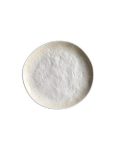 ADRIER - RPC202-GIN Pack de 24 Unidades - Colección Ginger - Plato redondo - 20,2 cm x 2 cm alto