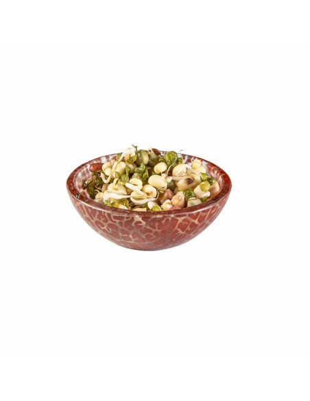 Conjunto de 12 Cazuelas de Cristal Rosseto Elegantes y Resistentes