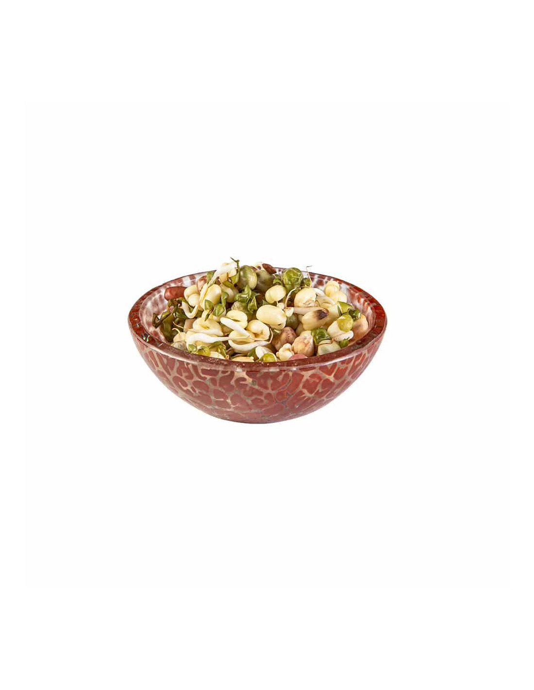 Conjunto de 12 Cazuelas de Cristal Rosseto Elegantes y Resistentes