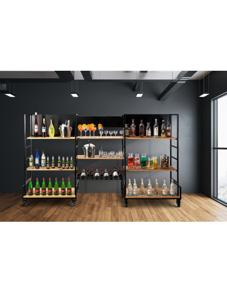 Kit Modular para Catering con Dispensadores Rosseto