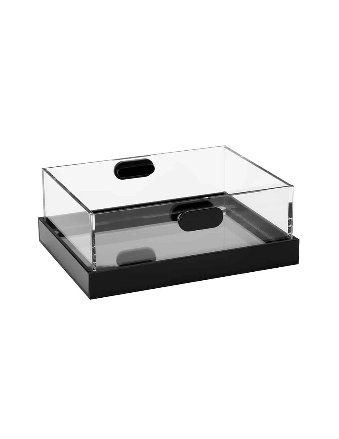 Conjunto de Recipientes para Hielo Acrílico Rosseto