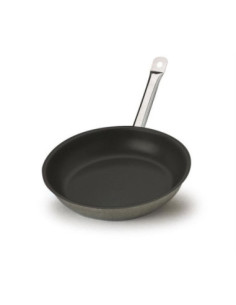 Sartén de acero inoxidable para inducción, un asa, diámetro 24cm