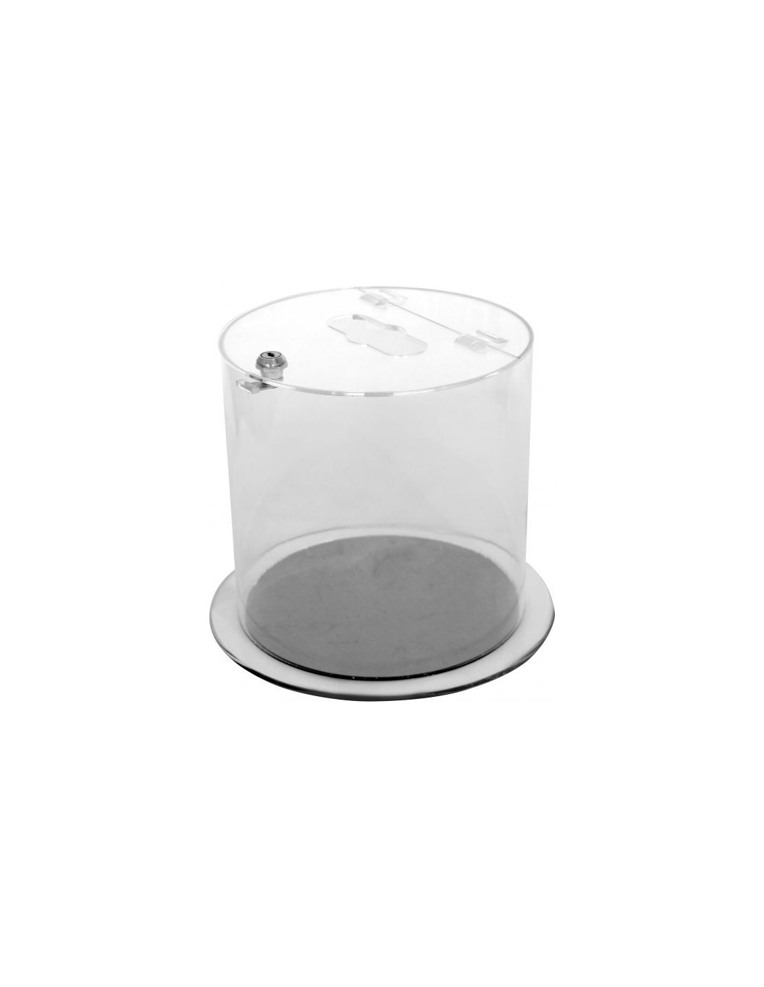 Probbax Contenedor transparente 12L