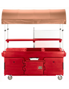 CAMBRO - KVC854C - Carro de venta móvil Camkiosk con 4 receptáculos y toldo - 216 x 85 x 239 cm